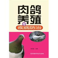 肉鸽养殖与疾病防治