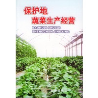 保护地蔬菜生产经营