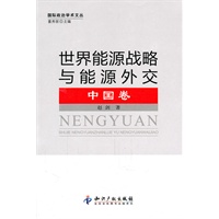 世界能源战略与能源外交．中国卷