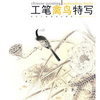 工笔禽鸟特写