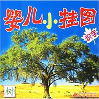 婴儿小挂图·识字