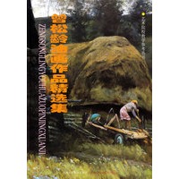 曾松龄油画作品精选集/艺术院校教学参考丛书