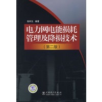 电力网电能损耗管理及降损技术（第二版）