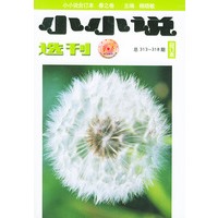 小小说选刊：总313-318期（合订本）春之卷