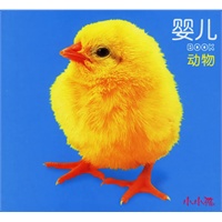 婴儿BOOK·动物