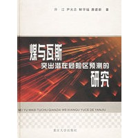 煤与瓦斯突出潜在危险区预测的研究