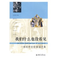 我们什么也没看见:一部别样的绘画描述集