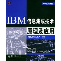 IBM信息集成技术原理及应用