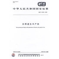 白桦速生丰产林