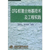 CFG桩复合地基技术及工程实践（特价/封底打有圆孔）