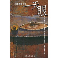 丁力商场小说：天眼