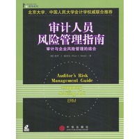 审计人员：风险管理指南（含光盘）