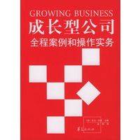 成长型公司(全程案例和操作实务)