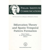 FIC/49: Bifurcation theory and spatio-temporal pattern formation分歧理论时空系统模式形成