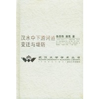 汉水中下游河道变迁与堤防——武汉大学学术丛书
