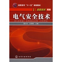 安全技术系列电气安全技术(夏洪永)