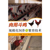 肉用斗鸡规模化饲养与繁育技术