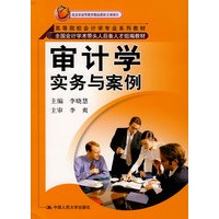审计学:实务与案例(高等院校会计学专业系列教材;全国会计学术带头人后备人才组编教材)