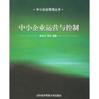 中小企业运营与控制——中小企业管理丛书
