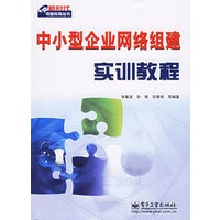 中小型企业网络组建实训教程——新时代电脑教育丛书