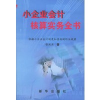 小企业会计核算实务全书