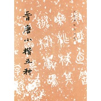 晋唐小楷五种/历代碑帖法书选