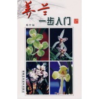 养兰一步入门