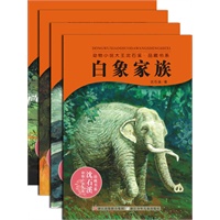 动物小说大王沈石溪品藏书系第六辑（共四册）牧羊神豹、白象家族、虎娃金叶子、大鱼之道