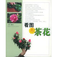 看图养茶花
