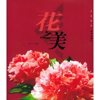 花之美——生活图赏