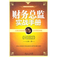 财务总监实战手册