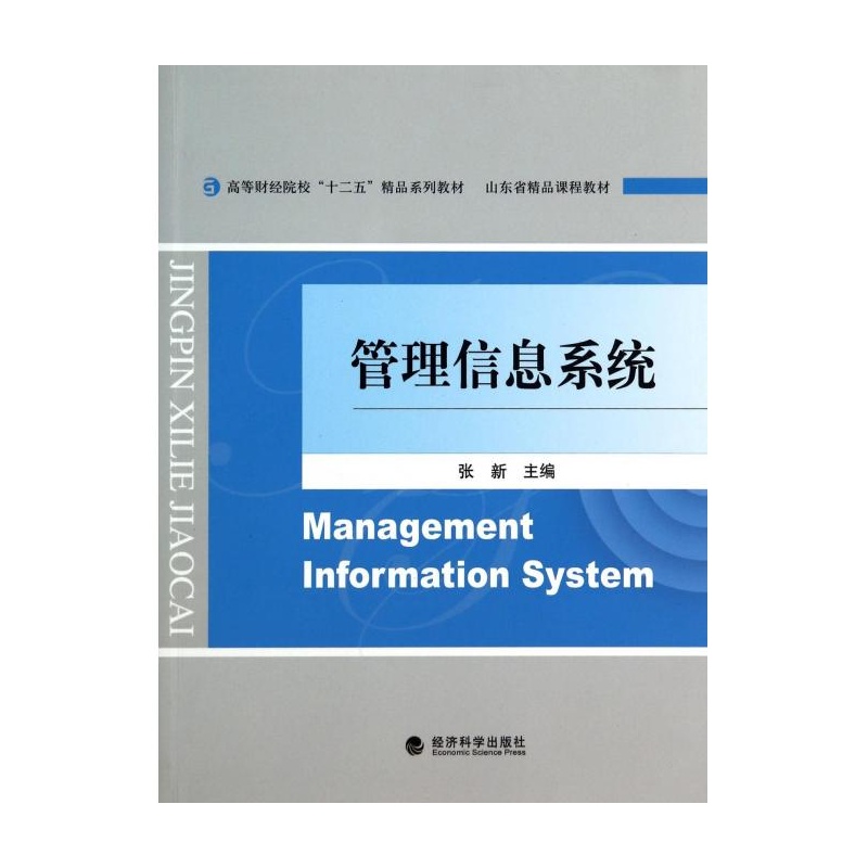 【管理信息系统(高等财经院校十二五精品系列