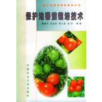保护地番茄栽培技术——保护地蔬菜栽培系列丛书
