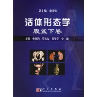 活体形态学:腹盆下卷