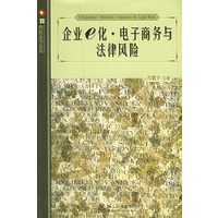企业e化·电子商务与法律风险——科技法学论丛