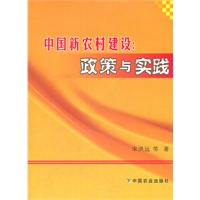 中国新农村建设：政策与实践