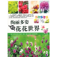 绚丽多姿的花花世界