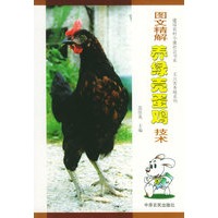 图文精解养绿壳蛋鸡技术——建设农村小康社会书系·无公害养殖系列