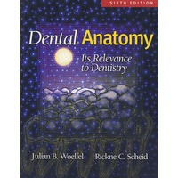 牙体解剖学 Dental Anatomy