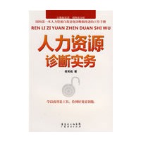 人力资源诊断实务