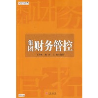 集团财务管控
