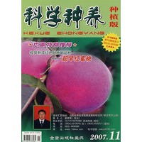科学种养：（2007年11月号）种植版
