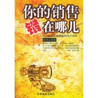 你的销售错在哪儿：20天走出影响销售的86个误区