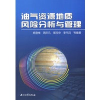 油气资源地质风险分析与管理