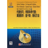数学物理学百科全书9：代数技巧；李群和李代数；离散数学；量子群；随机方法
