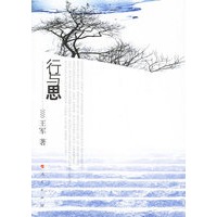 行与思——王军（著）