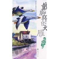瞭望塔动物书系：戴脚环的大雁