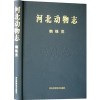 河北动物志--蜘蛛类 精