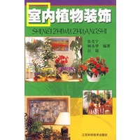 室内植物装饰