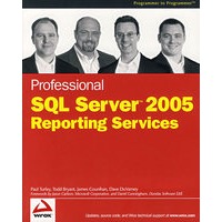 Professional SQL Server 2005 Reporting Services 使用手册 Professional SQL Server 2005
